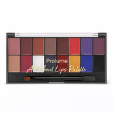 Pro 4 in 1 Travel Brush