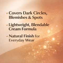 4 in 1 Makeup Concealer