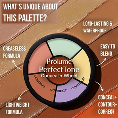 PerfectTone Concealer Wheel