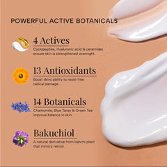 Bakuchiol Skin Repair Night Cream