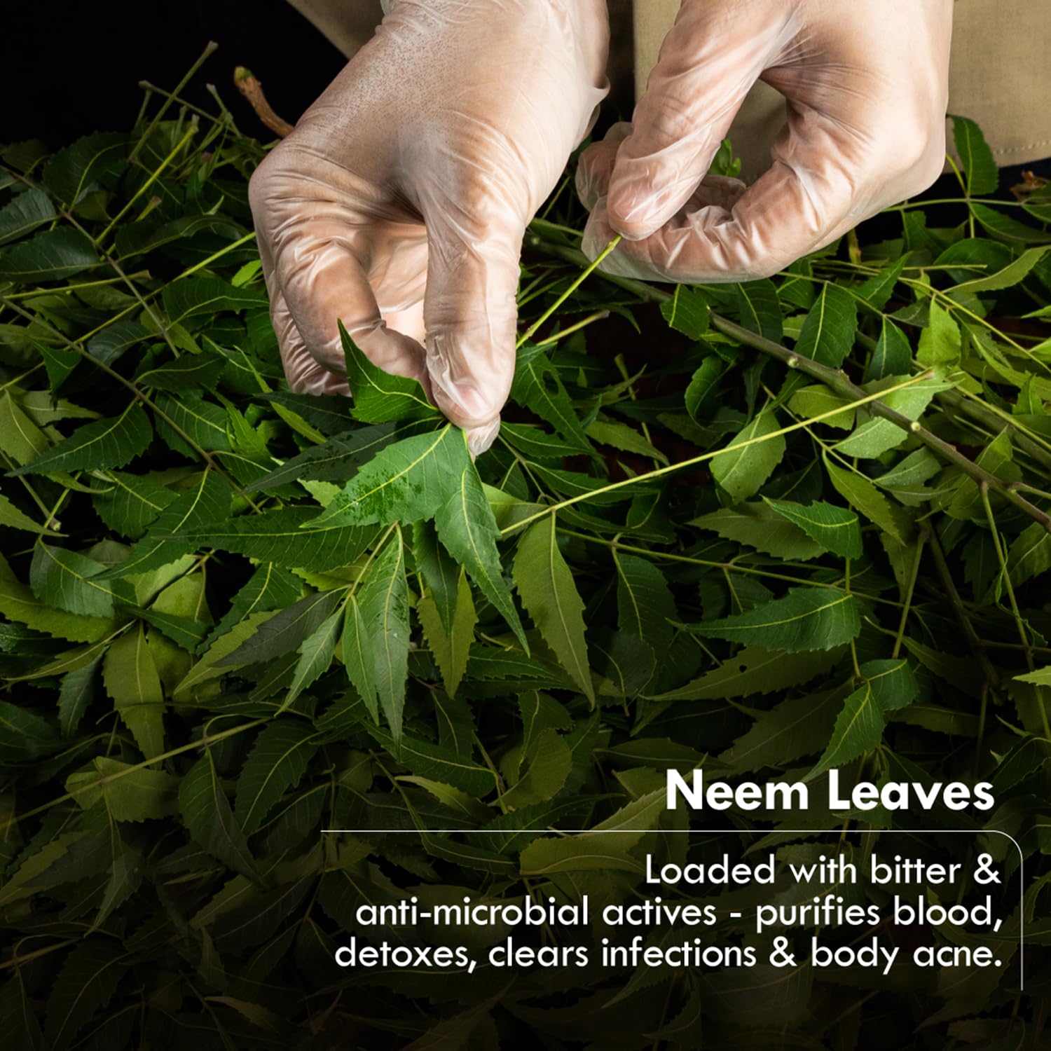 Herbal Neem Acne Guard Soap