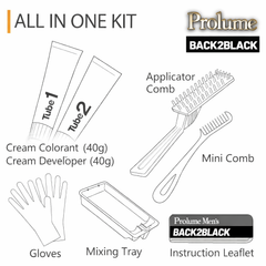 Back2Black Instant Hair Color – 2 Cream Speed System