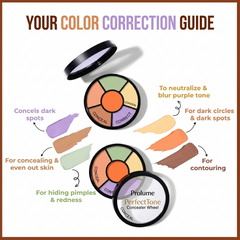 PerfectTone Concealer Wheel
