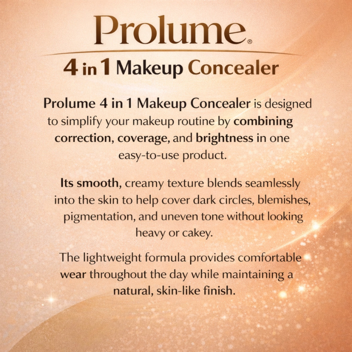 4 in 1 Makeup Concealer
