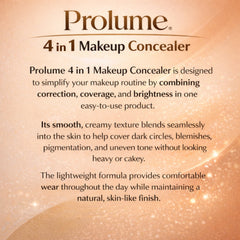 4 in 1 Makeup Concealer