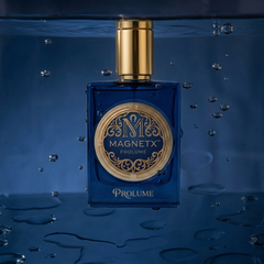 MagnetX The Power of Irresistible Attraction