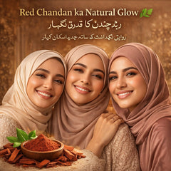 Nooree Beauty Amara RedChandan Cream